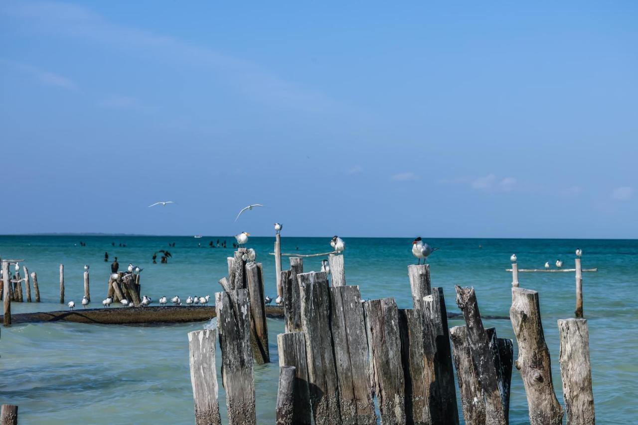 La Casa De Mia Holbox Hotel Exterior photo